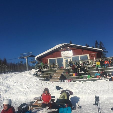 1125 Fjaellstugan Lofsdalen Exterior photo