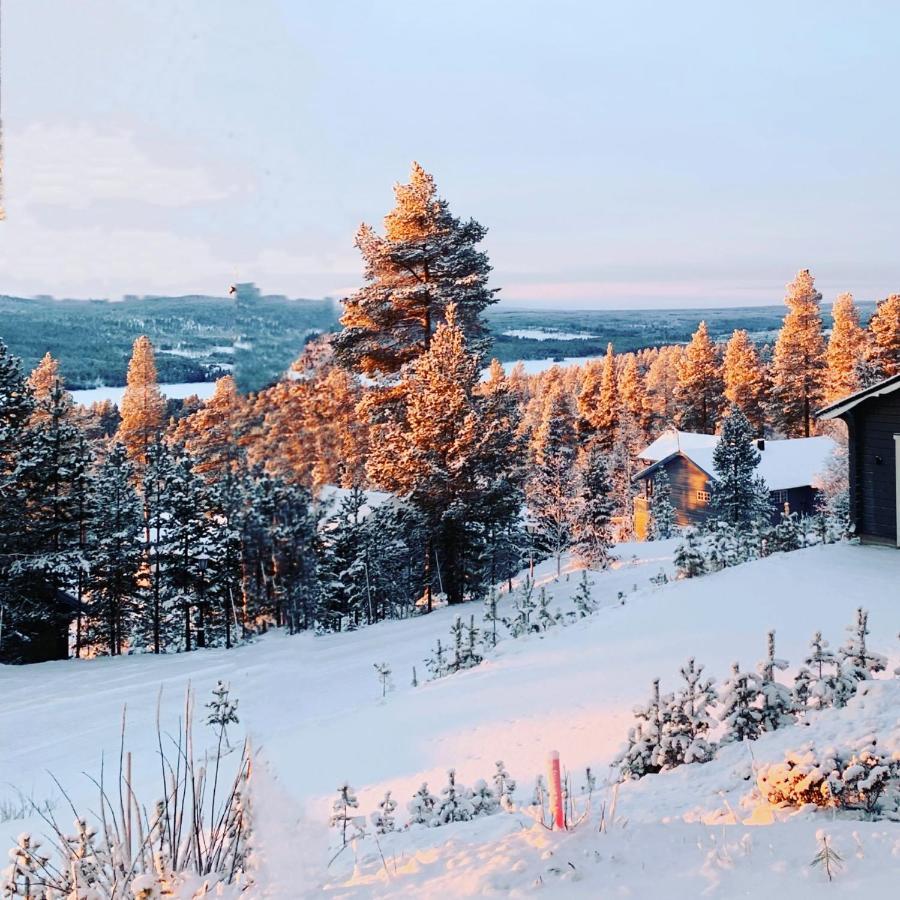 1125 Fjaellstugan Lofsdalen Exterior photo
